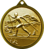 Медаль лыжный спорт (лыжи)