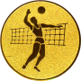 Эмблема волейбол
