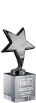Награда Звезда с гравировкой ГР