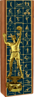 Награда из натурального дерева Волейбол 2828-250-003