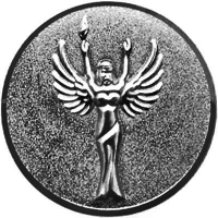 Эмблема Ника 1170-050-201