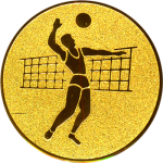 Эмблема волейбол 1111-050-104