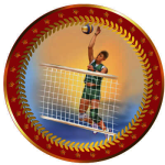 Акриловая эмблема Волейбол мужской 25 мм 1399-025-103