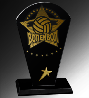 Награда из стекла Волейбол 1657-170-В00