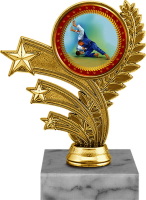 Награда дзюдо 1478-140-101