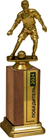 Награда Футболист на деревянном бруске 2851-265-000