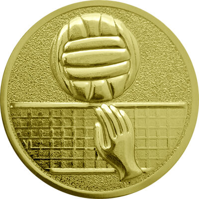 Эмблема волейбол 1111-025-100