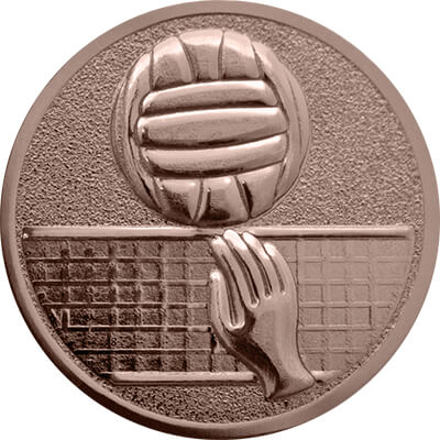 Эмблема волейбол 1111-025-300
