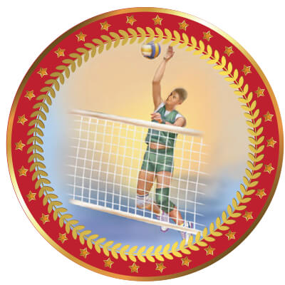 Акриловая эмблема Волейбол мужской 25 мм 1399-025-103
