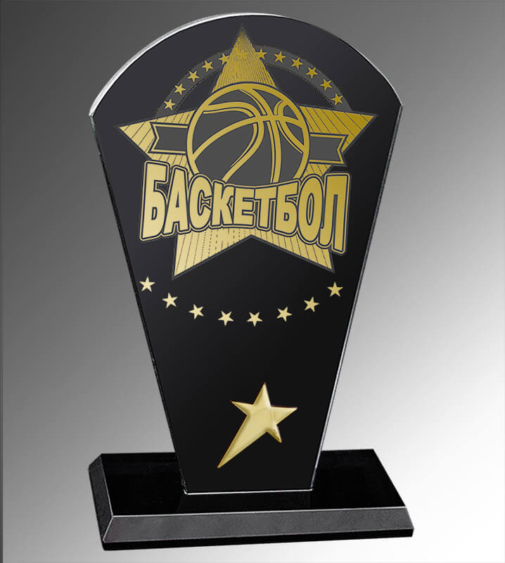 Награда из стекла Баскетбол 1657-170-Б00