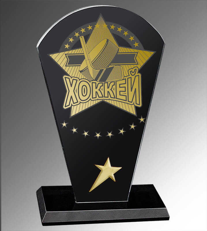 Награда из стекла Хоккей 1657-170-Х00
