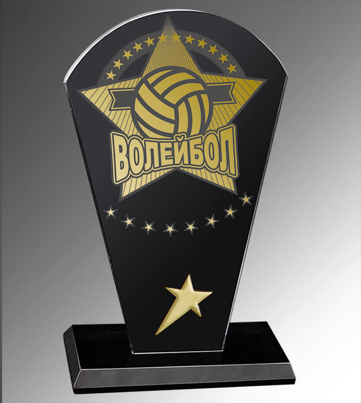 Награда из стекла Волейбол 1657-170-В00