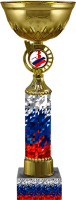 Кубок Агент 1,2,3 место 4507-310-103