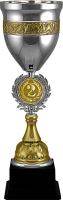 Кубк Морфей 1,2,3 место 4618-390-102
