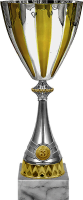 Кубок Зенит 1,2,3 место 4253-360-103