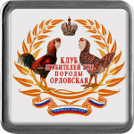 Значок с акриловой вставкой 1074-016-200