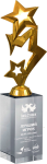 Награда Звезды с гравировкой 2012-250-ГР0