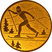 Эмблема лыжный спорт 1139-050-100