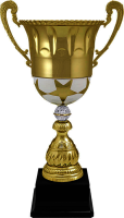 Кубок Флейм 4423-510-100