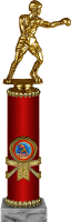 Награда Бокс 2007-290-002