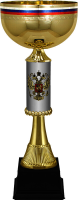 Кубок Артек 6994-350-200