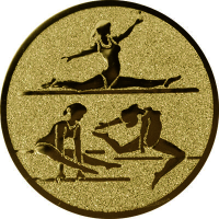 Эмблема гимнастика 1124-050-101