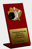 Акриловая награда Боулинг 1810-180-302