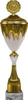 Кубок Арнольд 1,2,3 место 6115-650-102