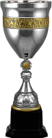 Кубок Оракл 1,2,3 место 4453-500-203