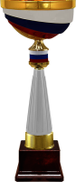 Кубок Россия 4652-360-129