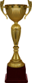 Кубок Рамиль 4560-102