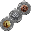 Комплект медалей Валдайка (3 медали)