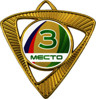 Медаль Шервинта 1,2,3 место 3587-070-103