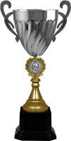 Грейс 1,2,3 место 4461-550-200