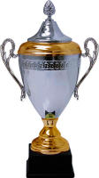 Кубок Витебск 6034-460-201