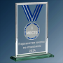 Награда из стекла "Медаль" с гравировкой 1807-190-ГР0