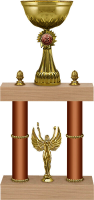 Кубок Сандра 1,2,3 место 4272-510-300