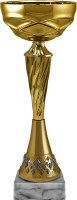 Кубок Килла 5850-300-120