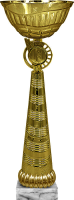 Кубок Дижон 4514-300-100