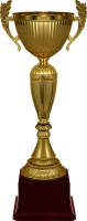 Кубок Рамиль 4560-380-102