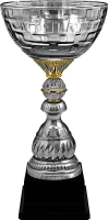 Кубок Ньютон 5910-390-200