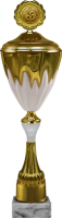 Кубок Арнольд 1,2,3 место 6115-650-103