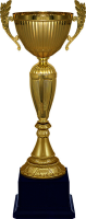 Кубок Рамиль 4560-380-103