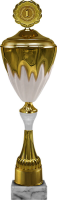 Кубок Арнольд 1,2,3 место 6115-650-101