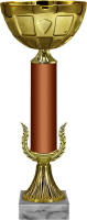Кубок Аннек 5942-270-300
