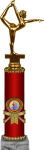 Награда Гимнастика 2007-320-008