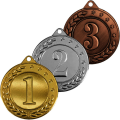Комплект медалей Камчуга (3 медали)
