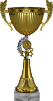 Кубок Ричик 1,2,3 место 6161-280-101