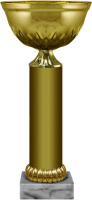 Кубок Рокси 5925-200-100
