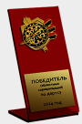 Акриловая награда Дартс
